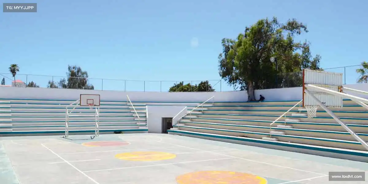 我们的品牌价值